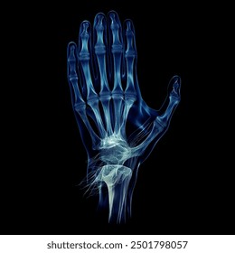 Humen hand bone x-ray film on a dark blue background