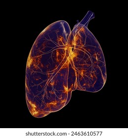 Humen liver injury x-ray film on a dark blue background, Healthcare and medicine concept.