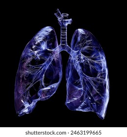 Humen lung  x-ray film on a dark  background, Healthcare and medicine concept.