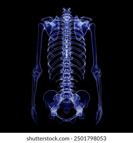 Humen Spine  x-ray film on a dark blue background