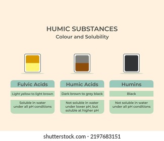 Humic Substance based on color and solubility. Humic acid, Fulvic acid, Humin