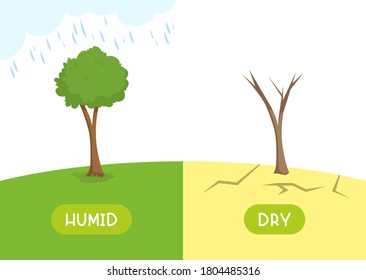 Humid and dry antonyms word card vector template. Opposites concept. Flashcard for english language learning. The tree is pouring rain, the plant is withered in the desert.
