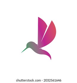 Humingbird logo and symbol vector image