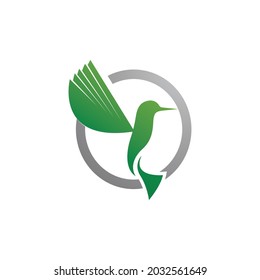 Humingbird logo and symbol vector image