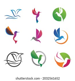 Humingbird logo and symbol vector image