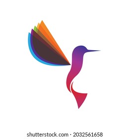 Humingbird logo and symbol vector image