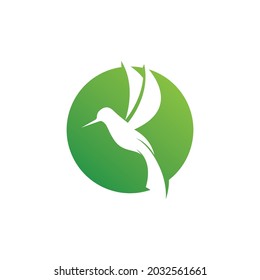 Humingbird logo and symbol vector image