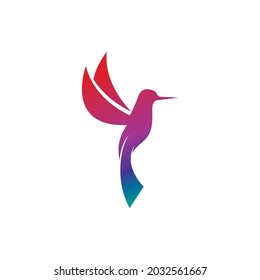 Humingbird logo and symbol vector image