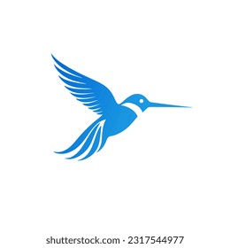 humming bir logo dessign illustration