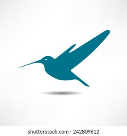 Humming Bird