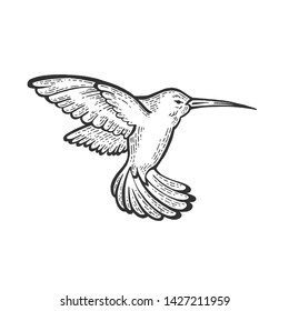 Humming bird animal sketch engraving vector illustration. Scratch board style imitation. Hand drawn image.