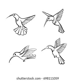 Humming bird. Colibri. Vector print. Set.
