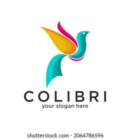 Humming bird colorful logo Vector