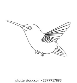 Humming bird continues single line art and outline vector illustration on white background and minimal