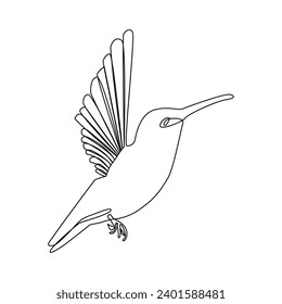 Humming bird continues single line art drawing outline vector and illustration on white background and minimal 