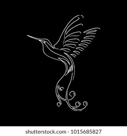 humming bird drawing. Hand drawn line art cute bird.