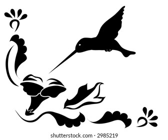 Humming bird in flight feeding on a flower.Vector illustration.