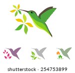 Humming bird and flowers vector icons