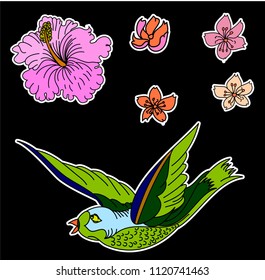 Humming bird with hibiscus flower and cherry blossom vector,Nature vector illustration for coloring book on white background.