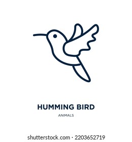 humming bird icon from animals collection. Thin linear humming bird, beautiful, bird outline icon isolated on white background. Line vector humming bird sign, symbol for web and mobile