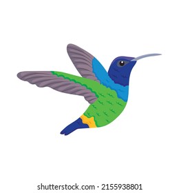 Humming Bird Icon On White Background