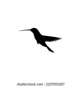 Humming bird icon. Simple style safari travel agency big sale poster background symbol. Humming bird brand logo design element. Humming bird t-shirt printing. vector for sticker.