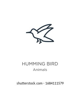 Humming bird icon. Thin linear humming bird outline icon isolated on white background from animals collection. Line vector sign, symbol for web and mobile