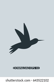 Humming bird icon, Vector