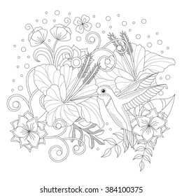 Humming bird illustration