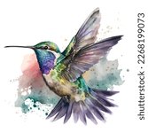 Humming bird isolated in white background, watercolor vector, vector illustration.