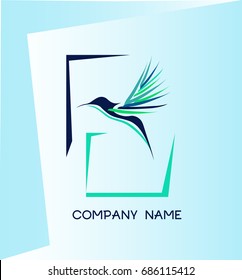 Humming Bird. Kolibri Bird. Company Logo. 