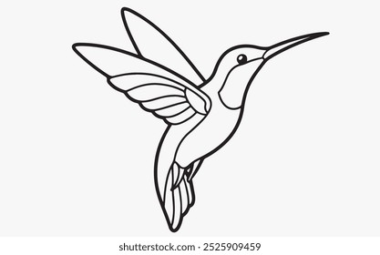 Humming bird line art illustration