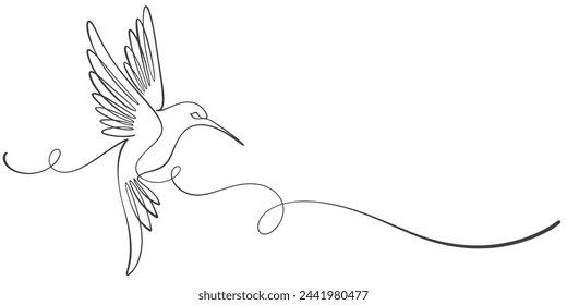 Humming Bird Line art Vector illustration