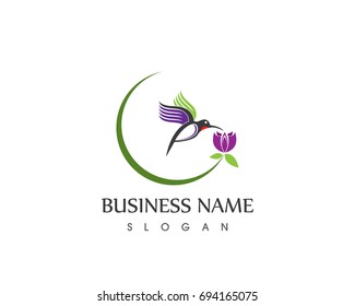 Humming Bird Logo design 