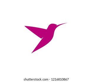 humming bird logo design vector