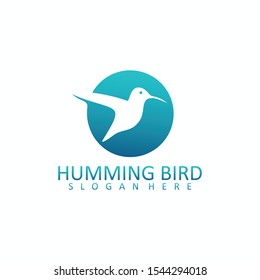 Humming bird logo design vector illustration