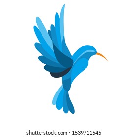 humming bird logo icon design vector