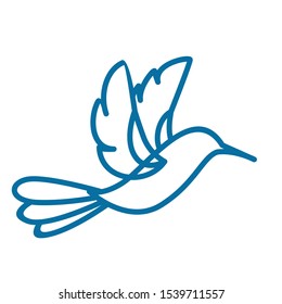 humming bird logo icon design vector