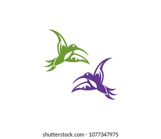 Humming bird logo template