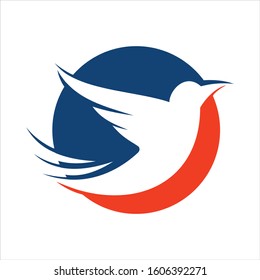humming bird modern logo design
