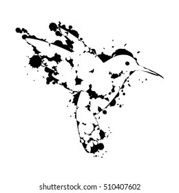 humming bird silhouette. Isolated vector