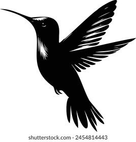 Humming bird silhouette vector artwork