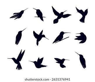 Humming bird Silhouette vector illustration