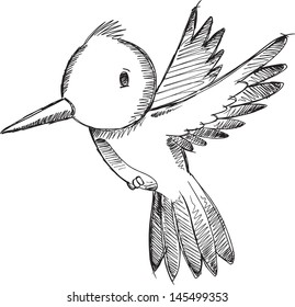 Humming Bird Sketch Doodle Vector Illustration Art