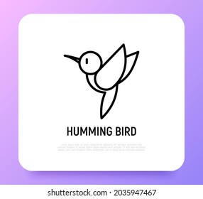 Icono de la línea delgada del pájaro zumbido. Ilustración vectorial moderna del pájaro.