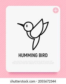 Icono de la línea delgada del pájaro zumbido. Ilustración vectorial moderna del pájaro.