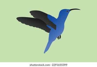 Humming bird vector arts illustrations with background