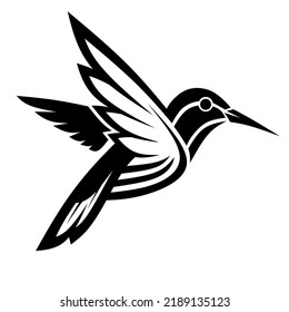 Humming bird vector. Colibri illustration eps. humming bird logo design vector eps