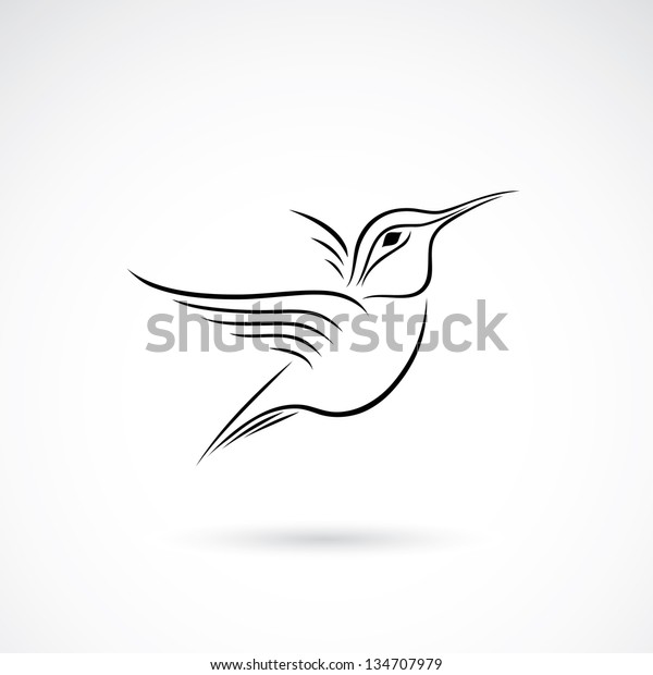 Humming Bird Vector Illustration Stock Vector (Royalty Free) 134707979 ...