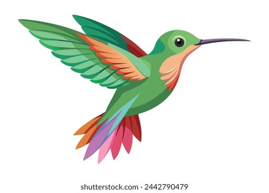 Ilustración vectorial de pájaro zumbante sobre fondo blanco